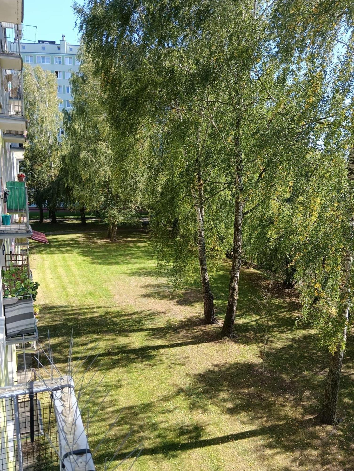 Apartament Telimena Olsztyn  Esterno foto